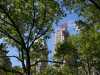 Essex House from the Park